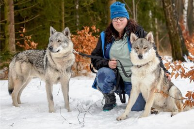 MDR dreht für "Tierisch tierisch" im Annaberger Tierheim: Findet sich ein neues Zuhause für zwei Wolfhunde? - Auch zwei Wolfshunde - im Bild mit Sindy Nentwich - sollen in ein geeignetes neues Zuhause vermittelt werden.