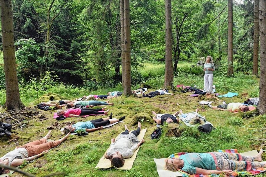 Meditation und Waldbaden in Nachbarschaft von Hochofen und Hammerwerk - Diese Lektion heißt Waldbaden. Kathleen Bauch taucht mit den Kursteilnehmern in die Naturkulisse ein, sensibilisierte deren Sinne wie Hören, Riechen und Fühlen auf dem Waldboden.