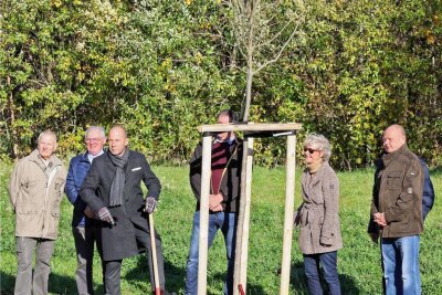 Meerane: Meerchenwald wächst weiter - Im Vorjahr wurden 43 Laubbäume gepflanzt. Auch Ex-Rathauschef Lothar Ungerer (3. v. l.) pflanzte zwei Bäume. 