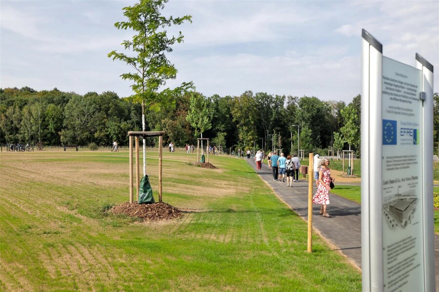 Meerane: Stadtrat entscheidet über Namen für neue Parkanlage - Der Stadtrat entscheidet über einen Namen für die Wege im Park.