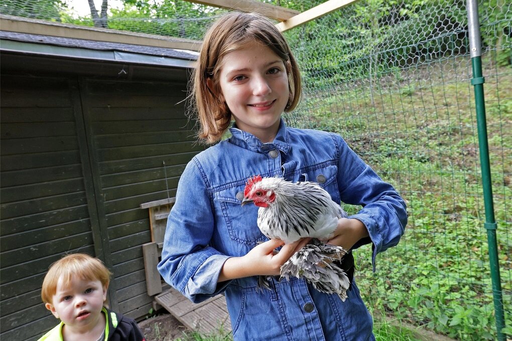 Meeraner "Buratino"-Kinder wieder glücklich: Neue Hühner eingetroffen