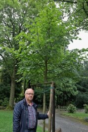 Meeraner Friedhof erhält Baumspenden - Friedhofsverwalter Uwe Horn an einer Winterlinde, die dank einer Baumspende geplanzt werden konnte. 
