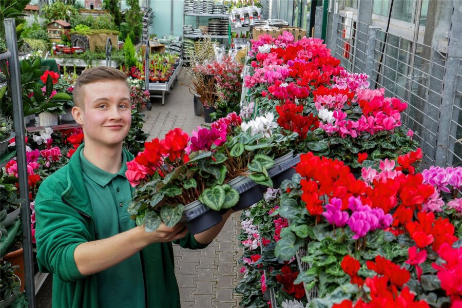 Meeraner Junior-Verkäufer ist weit und breit der beste seines Fachs - Pascal Neumann vom Gartencenter Dehner hat seine Ausbildung als bester Einzelhandelskaufmann abgeschlossen.