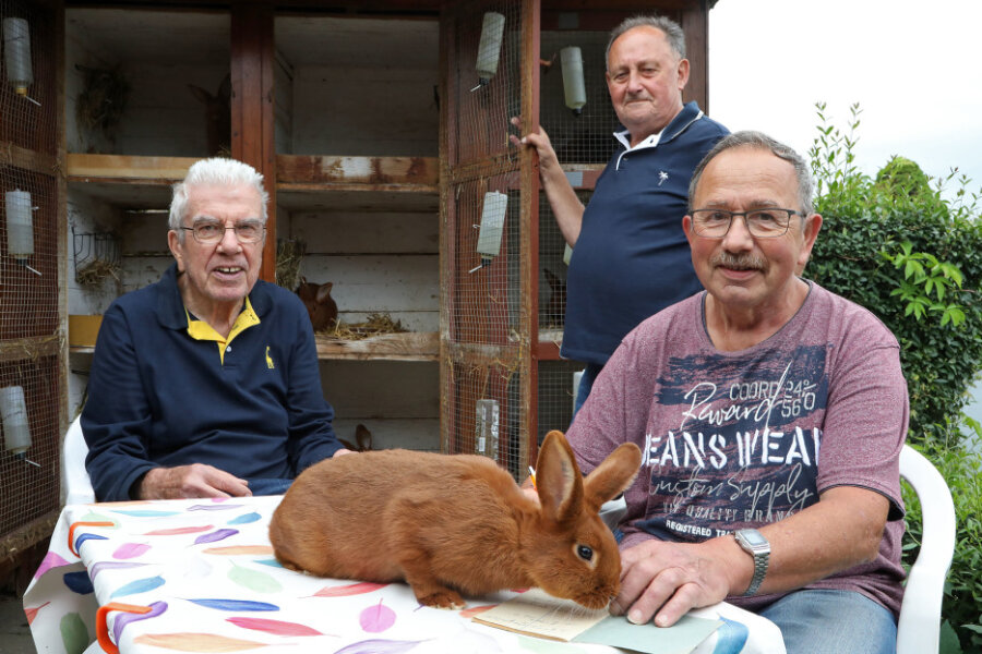 Meeraner Kaninchenzüchter schrieben deutschlandweit Geschichte - Im Meeraner Kaninchenpark bereiten die langjährigen Vereinsmitglieder Ronald Grimm, Werner Jahn und Jürgen Bachmann (von links) die Feier zum 125-jährigen Bestehen des Vereins vor.