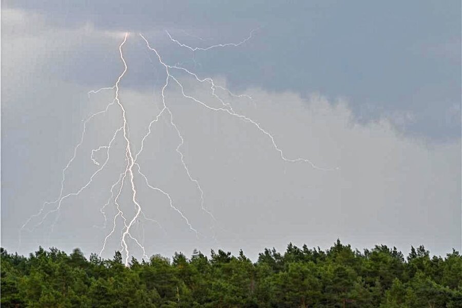 Megablitz über Dänkritzer Wald - Anwohner sprechen von "fürchterlichem Knall" - Ein Blitz von einem Gewitter leuchtet über einem Waldgebiet.