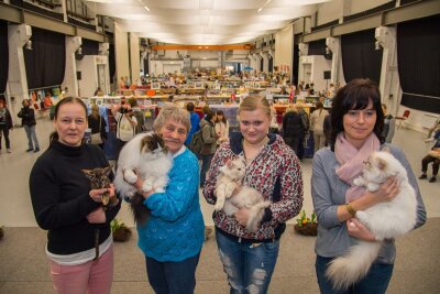 Mehr als 150 Katzen auf Katzenmesse in Chemnitz - Sonderpreise gab es für Katharina Wagenknecht, Margit Neumann, Dominique-Sarah Durrey und Birgit Fischer (v.l.n.r.).