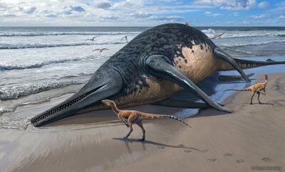 Mehr als 25 Meter: Im Meer lebte einst ein gewaltiges Reptil - Die künstlerische Darstellung zeigt einen angeschwemmten Ichthyotitan severnensis-Kadaver am Strand.