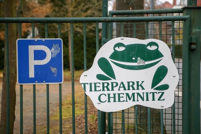 Mehr Besucher nach dem Umbau: Wie der Verkehr am Chemnitzer Tierpark künftig laufen soll - In der Umgebung des Tierparks ist der Parkraum an manchen Tagen knapp und Anwohner beklagen sich über das erhöhte Verkehrsaufkommen. Die Stadtverwaltung lässt deshalb ein Verkehrskonzept erstellen. 