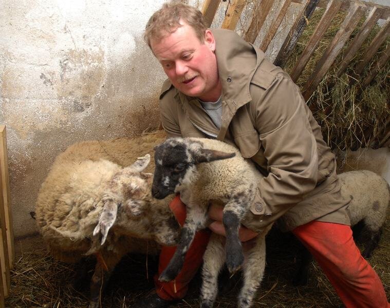 Mehraufwand mit Lamm und Schaf - 
              <p class="artikelinhalt">Thomas Uhle hält ein sieben Wochen altes Lamm im Arm. Der Börnichener findet, dass mit der Neuregelung der Viehverkehrsordnung alles viel komplizierter und teurer wird. Auf seine Schafhaltung will er trotzdem nicht verzichten. </p>
            