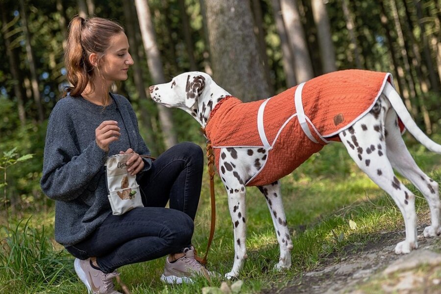 Meisterin Rammler aus Grünbach macht Hund und Herrchen schick - Julia Rammler mit ihrer Dalmatinerhündin Resi. Weil die Grünbacherin für das Tier keinen passenden Schutzmantel fand, stieg sie selbst in die Fertigung von Tierbekleidung ein.