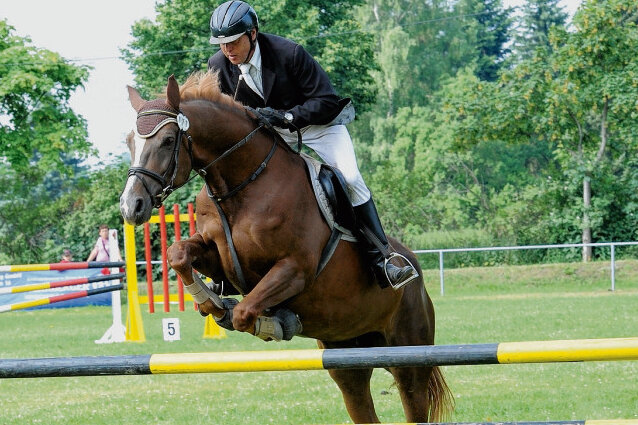 Mensch und Tier meistern Wettstreit - Burkhard Sieber vom RFV Seifersdorf war einer von exakt 130 Pferdesportlern, die am traditionellen Reit-, Spring- und Fahrturnier in Weißbach teilgenommen haben.
