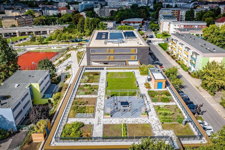 Mikroklima: Wie sich in Chemnitz die Temperatur senken lässt - Auf dem Dach der Turnhalle der neuen Grundschule an der Jakobstraße gibt es einen Schulgarten. Bislang gibt es wenige solcher Projekte.