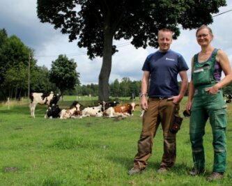 Milchgut Trieb stellt auf Bio um - Die Geschäftsführer des Milchgutes Trieb, Nicole Andermann und Steffen Luderer, bei den Kälbern des Landwirtschaftsbetriebes. 