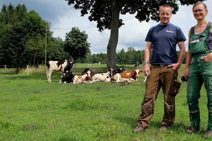 Milchgut Trieb stellt auf Bio um - Die Geschäftsführer des Milchgutes Trieb, Nicole Andermann und Steffen Luderer, bei den Kälbern des Landwirtschaftsbetriebes. 