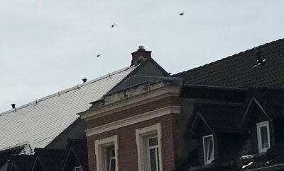 Militärhubschrauber fliegen in Formation über der Stadt - Hubschrauber in Formation waren zuletzt auch über den Dächern der Lutherstraße zu sehen. 