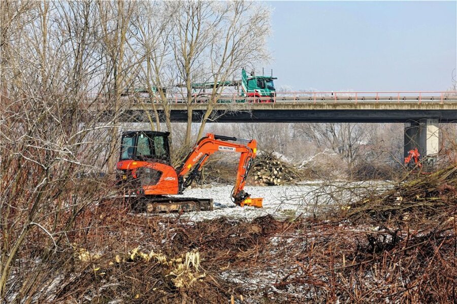 Millionenprojekt: In Glauchau-Reinholdshain beginnt der Hochwasserschutz - Mit den Baumfällungen haben die Arbeiten für den Deichrückbau an der Zwickauer Mulde bei Glauchau-Reinholdshain begonnen.