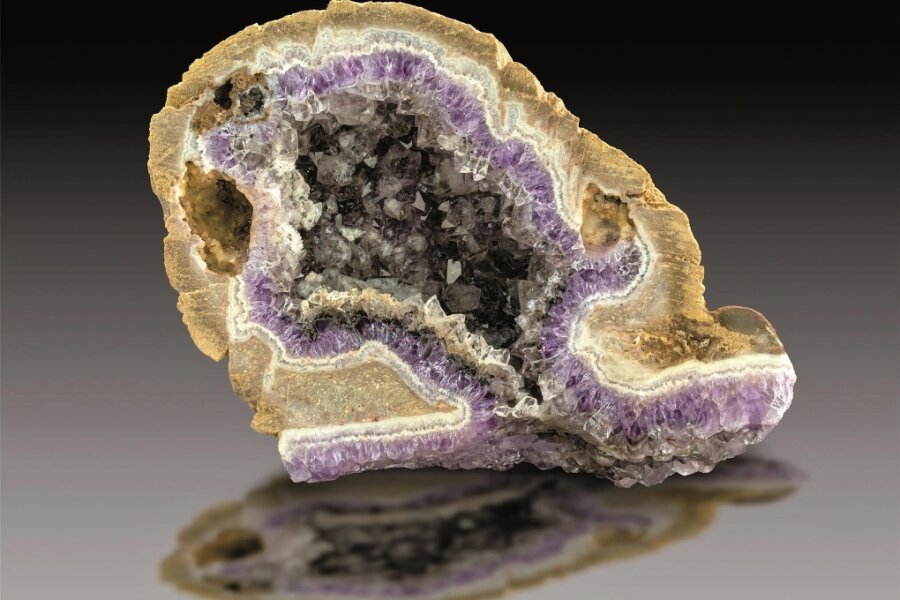 Mineralien: Besitzer des „Amethystfeldes“ im Erzgebirge präsentiert prachtvolle Funde - Kristallisierte Amethyst - und Rauchquarzstufen sowie hervorragende Anschliffe, zum Teil in beachtlicher Größe, werden den Betrachter erfreuen.