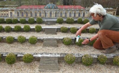 Miniwelt: Wetter erschwert Vorbereitung auf Saison - Eine Miniwelt-Mitarbeiterin pflegt die Bäumchen am Schloss Sanssouci.