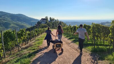 Mit Bollerwagen und Hex: Weinwandern am Schwarzwaldrand - Ab in die Natur: Mit "Durbach Adventures" auf Weintour durch die Ortenau.