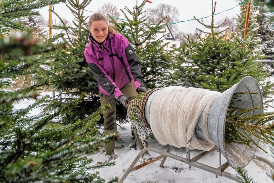Mit diesen Tricks bleibt der Weihnachtsbaum länger frisch - Nathalie Eisenzimmer und das Team vom Tannenhof Lengefeld züchten Weihnachtsbäume auf einem 12 Hektar großen Feld. Verkauft werden die Christbäume direkt auf dem Hof in Lengefeld sowie an zwei Ständen in Annaberg und an der Heinzebank. 
