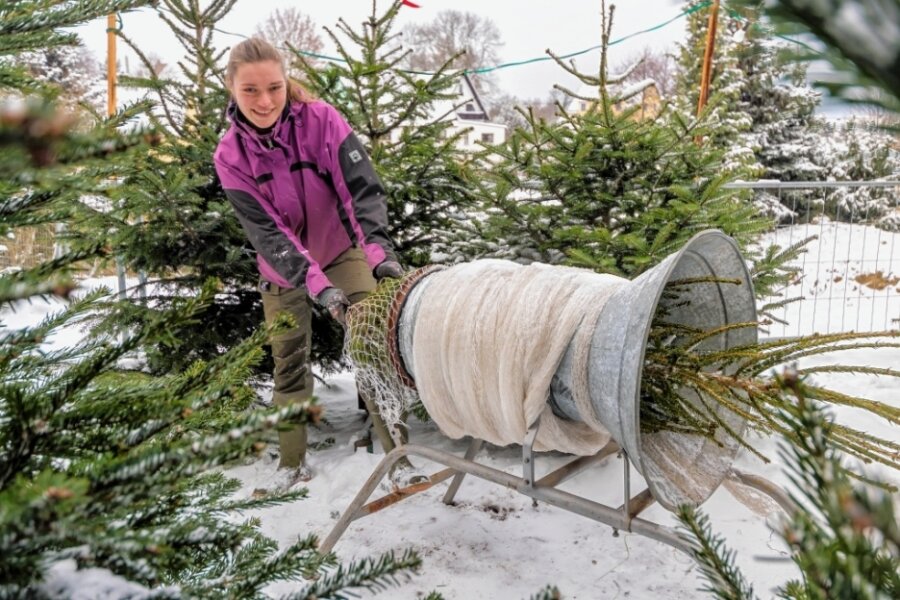 Mit diesen Tricks bleibt der Weihnachtsbaum länger frisch - Nathalie Eisenzimmer und das Team vom Tannenhof Lengefeld züchten Weihnachtsbäume auf einem 12 Hektar großen Feld. Verkauft werden die Christbäume direkt auf dem Hof in Lengefeld sowie an zwei Ständen in Annaberg und an der Heinzebank. 