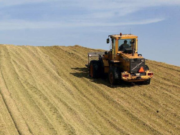 Mit Ökogas umweltschonend heizen - Biogas entsteht durch Vergärung von Energiepflanzen
