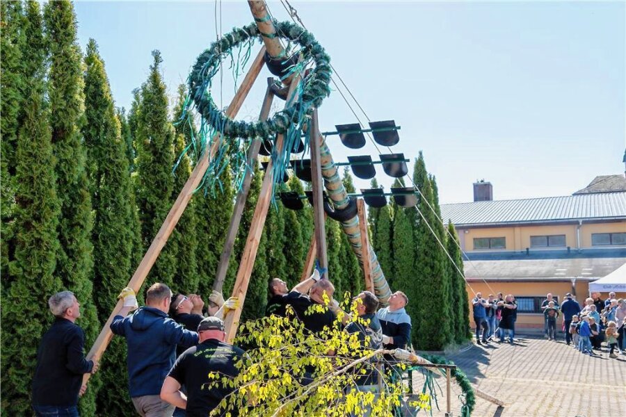 Mit viel Muskelkraft: Erlau hat seinen Maibaum - Zum zweiten Mal nach 2019 wurde am Sonntag am Sachsenhof in Erlau der Maibaum des Ortes aufgestellt. 