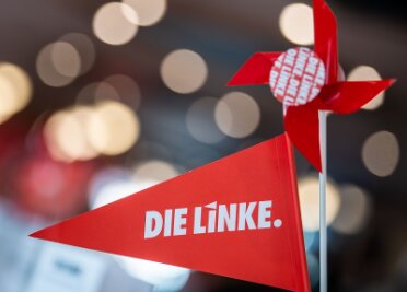Mittelsachsens Linke will Kreisvorstand vergrößern - Ein Fähnchen und ein Windrand mit dem Logo der Partei Die Linke.