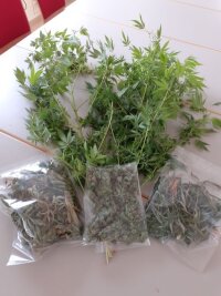 Mittweida: Polizei stellt Cannabis in Wohnung sicher - 