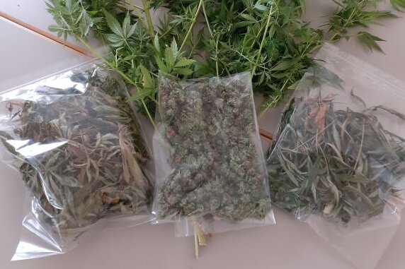 Mittweida: Polizei stellt Cannabis in Wohnung sicher - 