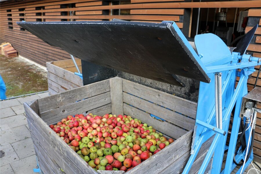 Mobile Mosterei steuert Kröstau an - Äpfel aus dem eigenen Garten vor der Vermostung.