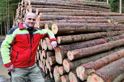 Mondholz: Die Superware aus dem Sachsenforst - Christian Arnold leitet den Holzverkauf im Forstbezirk Eibenstock. 