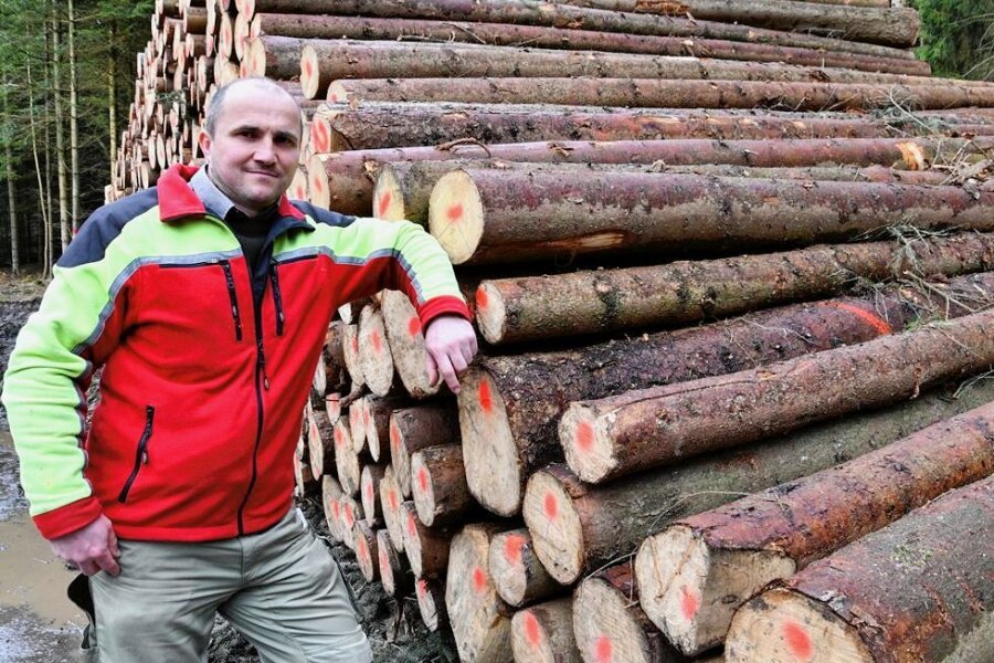 Mondholz: Die Superware aus dem Sachsenforst - Christian Arnold leitet den Holzverkauf im Forstbezirk Eibenstock. 