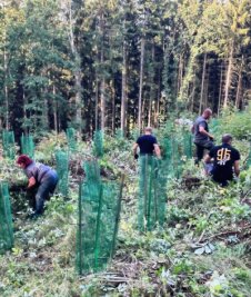 Motorsportler pflanzen junge Bäume im Stadtwald - Vereinsmitglieder beim Aufforsten im Stadtwald. 