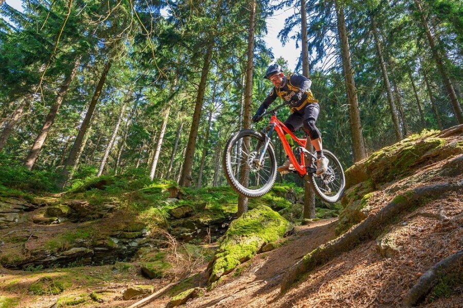 Mountainbiken in den Greifensteinen: Im Wald des Weltmeisters Marco Hösel - Mountainbikeland Sachsen - Greifensteine