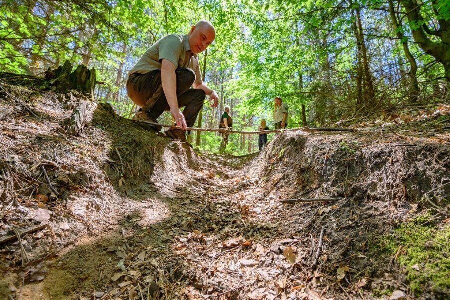 Marcus Biernath zeigt eine ausgefahrene Spurrinne in der Dresdener Heide. Mountainbiker haben in dem Waldgebiet etliche Trails und Schanzen gebaut - zum Leidwesen der Förster. 