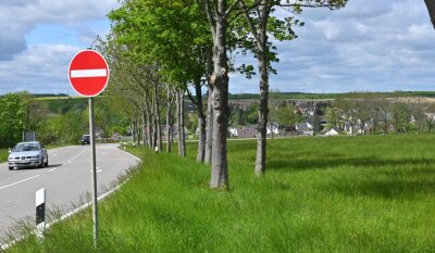 Mühlau ebnet Weg für neue Wohngebiete - An der Reitzenhainer Straße in Mühlau sollen auf einem Wiesengrundstück bald Eigenheime gebaut werden. 
