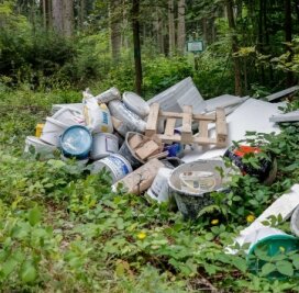 Müll illegal in Schutzgebiet abgelegt - In einem Waldstück nahe des Hahnenhausweges wurde der Müll entsorgt. 