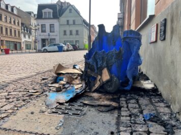 Mülltonnen abgebrannt - Polizei sucht Zeugen - 