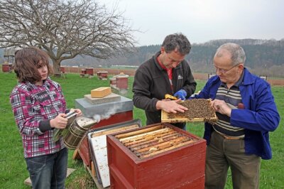 Mülsener Imker bevölkert Landkreis - Peter Gruner nimmt sich immer Zeit, um sein Wissen über die Bienen weiterzugeben. Im Foto fachsimpelt er mit seiner Tochter Linda, die die Jüngste im Verein ist, und Gottfried Stolle, dem ältesten Mitglied.