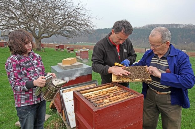 Mülsener Imker bevölkert Landkreis - Peter Gruner nimmt sich immer Zeit, um sein Wissen über die Bienen weiterzugeben. Im Foto fachsimpelt er mit seiner Tochter Linda, die die Jüngste im Verein ist, und Gottfried Stolle, dem ältesten Mitglied.