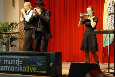 Mundharmonika live in Klingenthal steht den Startlöchern - Das Mundharmonika-Quartett Austria beim Gala-Konzert 2017 in Klingenthal. Auch diesmal sind die Österreicher mit dabei.