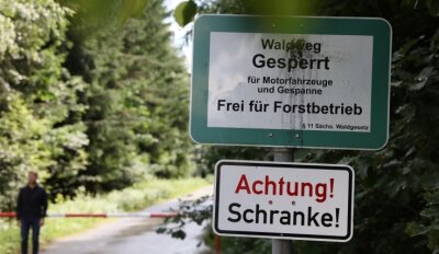 Munitionsfunde im Forst: Warnung für Waldbesucher - Teile des Hartmannsdorfer Forstes wurden einst militärisch genutzt. Verwalter und Gemeinde mahnen zur Vorsicht bei Funden. 