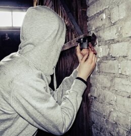 Mutiger Anwohner sperrt Einbrecher im Keller ein - Die Einbrecher brachen die Vorhängeschlösser an zwei Abteilen auf. 