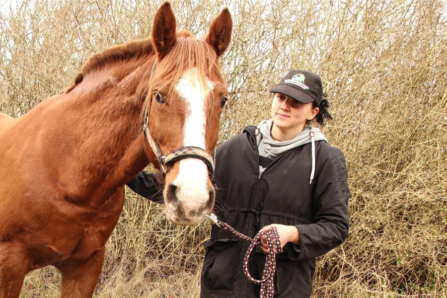 Nach Attacke auf zwei Pferde: Mehr als 4700 Euro für Tierarztkosten und Bauern-Aktivistin Tanja Turki gespendet - Tanja Turki mit dem verletzten Pensionsperd.