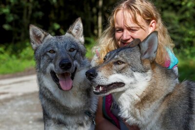 Nach Aufregung im Erzgebirge: Wolfshunde finden in Neu-Amerika ein wenig Ruhe und Liebe - Auf Tuchfühlung: Tierheimchefin Peggy Kreher glaubt, bei den ein bis zwei Jahre alten Tieren handelt es sich um Geschwister. 