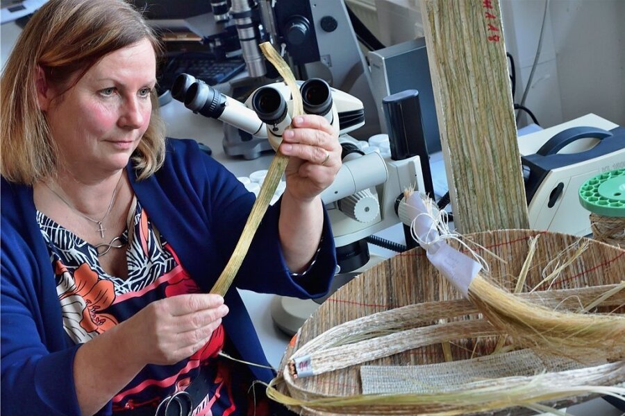 In einem Labor des Sächsischen Textilforschungsinstituts in Chemnitz bereitet die Wissenschaftlerin Elke Thiele Hanfbast zur Untersuchung vor. Ziel ist es, Hochleistungsfaserverbunde aus Hanfbast zu entwickeln.