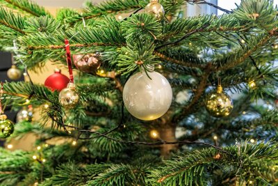 Nach den Festtagen: So können die Weihnachtsbäume im Vogtland entsorgt werden - Das Weihnachtsfest ist vorbei, nun geht es den meisten Bäumen an den Kragen.
