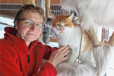 Nach Pause: Tierheimfest lockt 800 Besucher nach Langenberg - Susanne Hempel, Chefin des Tierschutzvereins Hohenstein-Ernstthal, mit einem Tier, das in Langenberg zu Hause ist. Der Kater wurde während der letzten Silvesternacht abgegeben. 