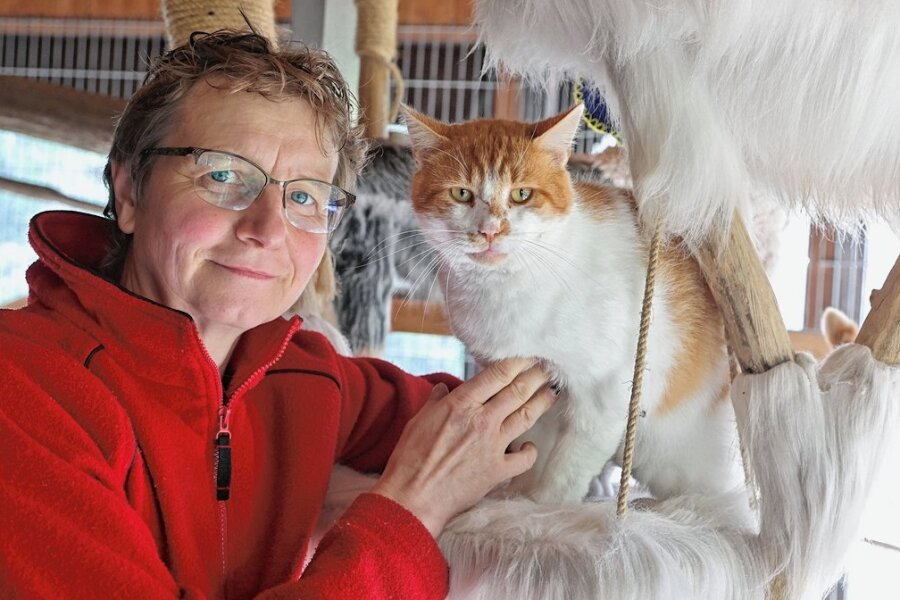 Susanne Hempel, Chefin des Tierschutzvereins Hohenstein-Ernstthal, mit einem Tier, das in Langenberg zu Hause ist. Der Kater wurde während der letzten Silvesternacht abgegeben. 